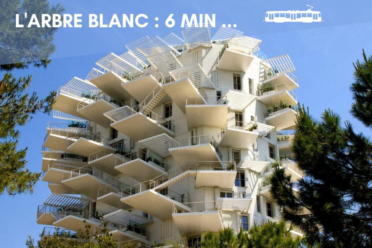 מונפלייה Nouveau - Jungle Montpeul - Clim - Wifi Fibre - Netflix - 5' Du Centre Et Gare - Parking - Loggia - 15' Des Plages מראה חיצוני תמונה
